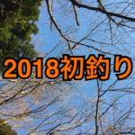 【釣行】1/6中川水系おかっぱり-2018年初釣り-