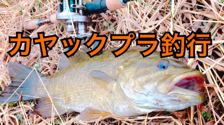 【釣行】2/25おかっぱり釣果-カヤックプラで今年初スモ♪-