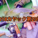 【釣行】カヤック第23戦-ダメダメDAY-