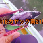 【釣行】カヤック第21戦-アベンタオリカラフィッシュ！-