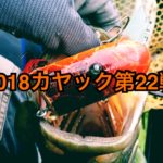 【釣行】カヤック第22戦-苦節3年、Gバドで50UP-