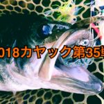 【釣行】カヤック第35戦-秋のスーパークオリティ50UP捕獲!!-