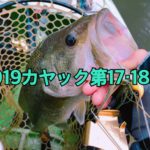 【釣行】2019年カヤック第17・18戦-ワイヤーベイトの季節到来？-